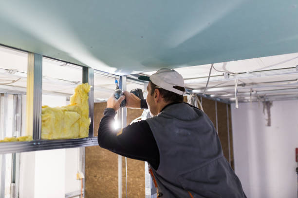 Best Specialty Insulation in Lake Holiday, IL